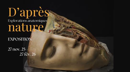 D’après nature, explorations anatomiques – Exposition