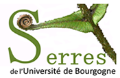 Logo Serres-uB