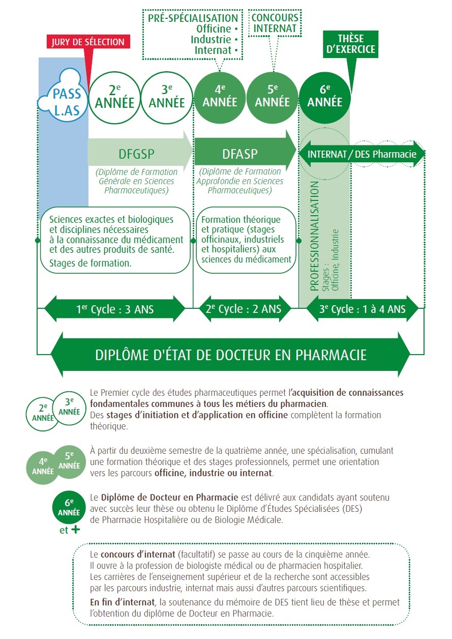 Filière pharmacie pour un diplôme d'État de docteur en pharmacie