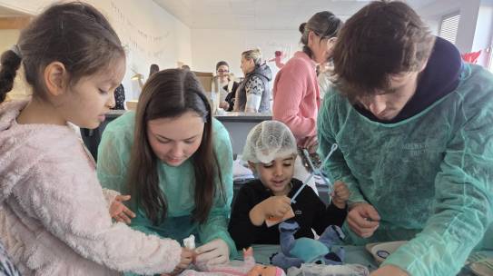 L’hôpital des nounours : une immersion ludique dans le monde médical